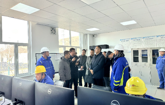 青海省生態(tài)環(huán)境廳黨組書記、廳長湯宛峰調(diào)研麥王項目