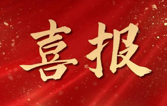 TOP 12！中節(jié)能國(guó)禎榮登中國(guó)品牌價(jià)值 “其他服務(wù)類”